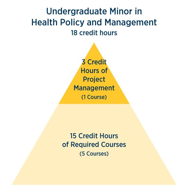 Health Policy Minor Pyramid