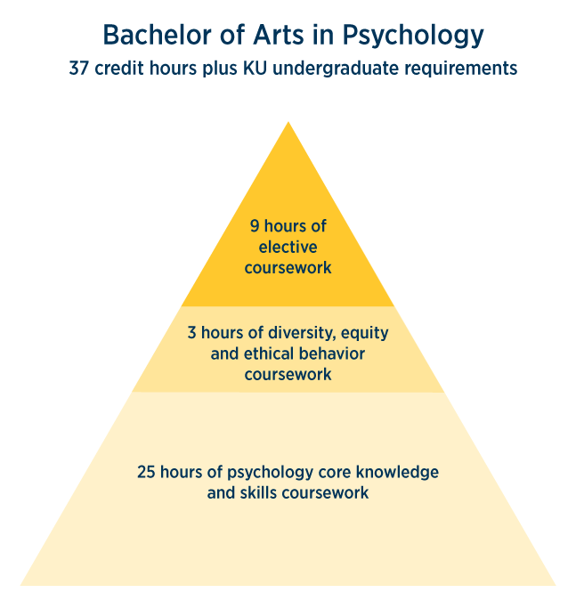 Bachelor of Arts in Psychology 37 credit hours plus KU undergraduate requirements - 9 hours of elective coursework, 3 hours of diversity, equity and ethical behavior coursework, 25 hours of psychology core knowledge and skills coursework