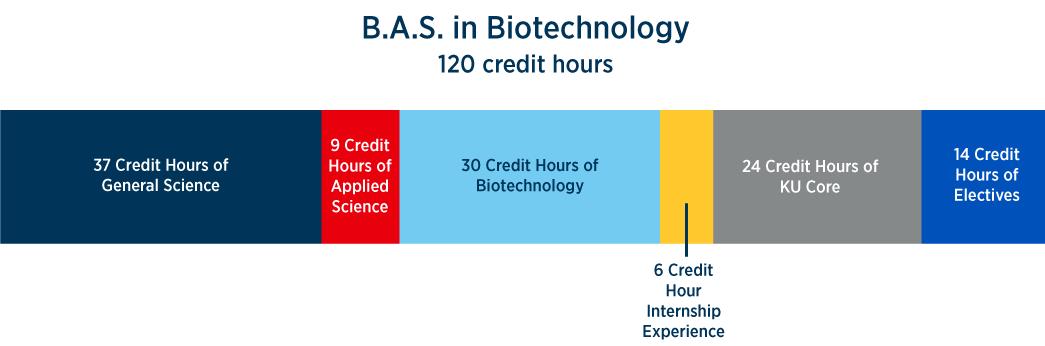 Bachelor of Applied Science in Biotechnology 120 credit hours; 37 credit hours of general science, 9 hours of applied science, 30 credit hours of biotechnology, 6 credit hour internship experience, 24 credit hours of KU core, 14 credit hours of electives