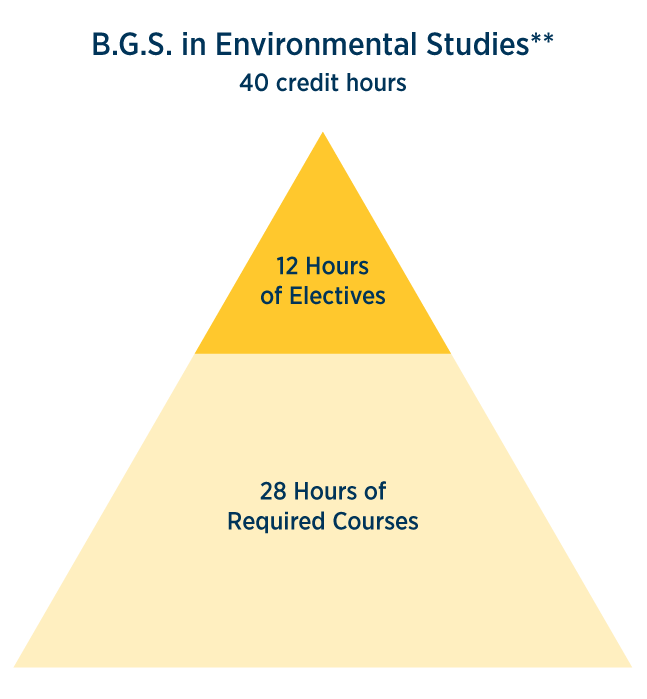 B.G.S. in Environmental Studies hour breakdown 40 credit hours - 12 hours of electives, 28 hours of required courses