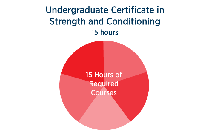 Undergraduate Certificate in Strength and Conditioning 15 hours 15 hours of required courses