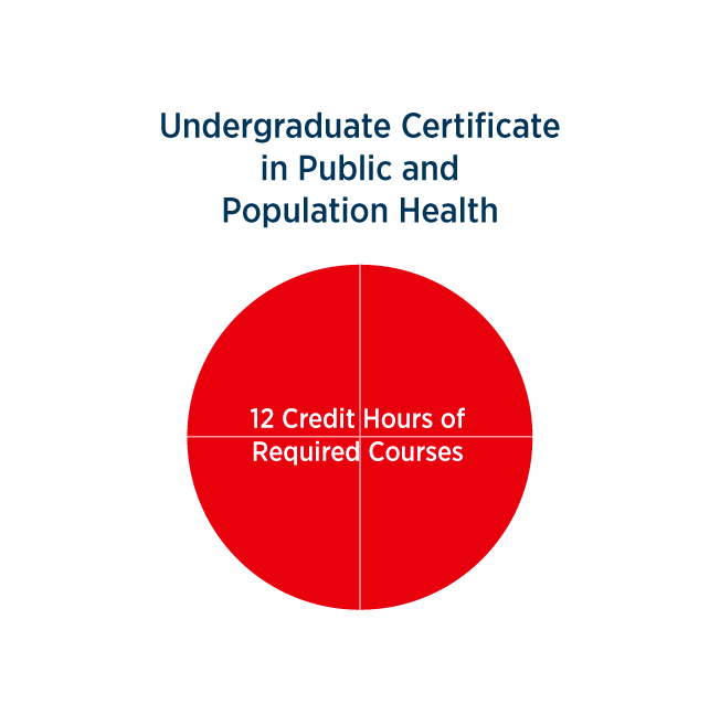 undergraduate certificate in public and population health course breakdown - 12 credit hours of required courses