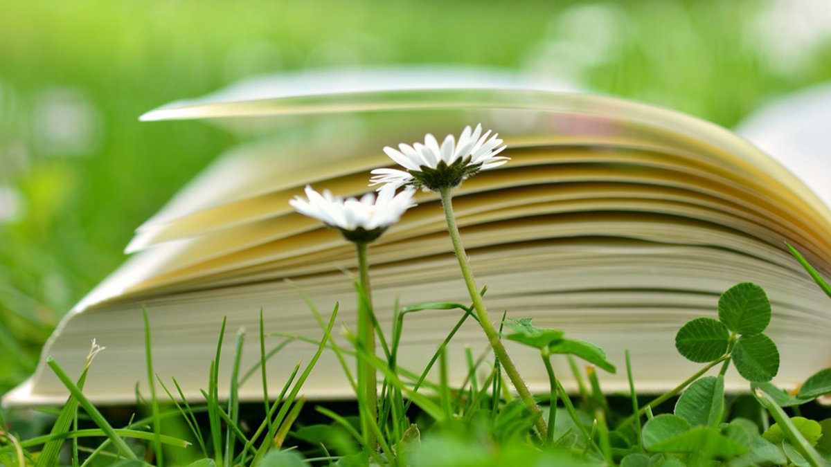 Book and flower