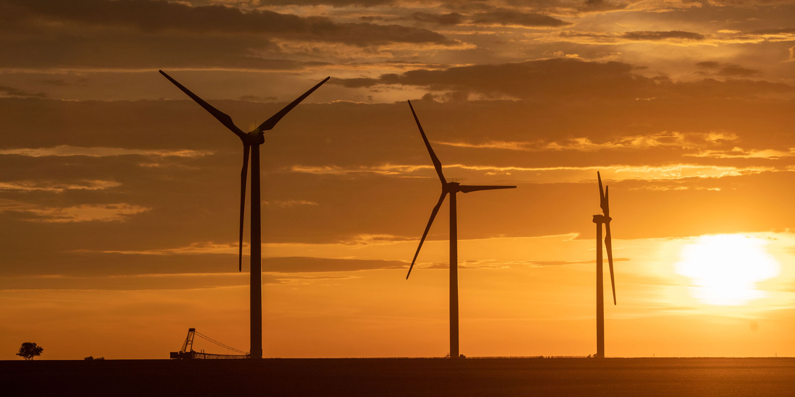 A wind energy farm at sunrise 