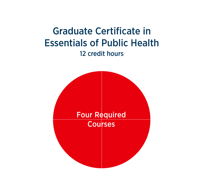 Graduate certificate in essentials of public health 