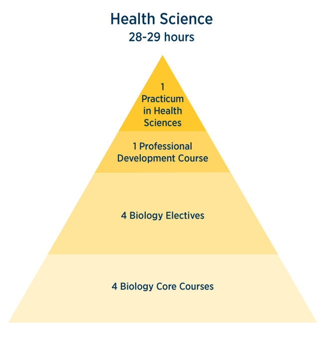 Health Science 28-29 hours course breakdown - 1 practicum in Health Sciences, 1 professional development course, 4 biology electives, 4 biology core courses