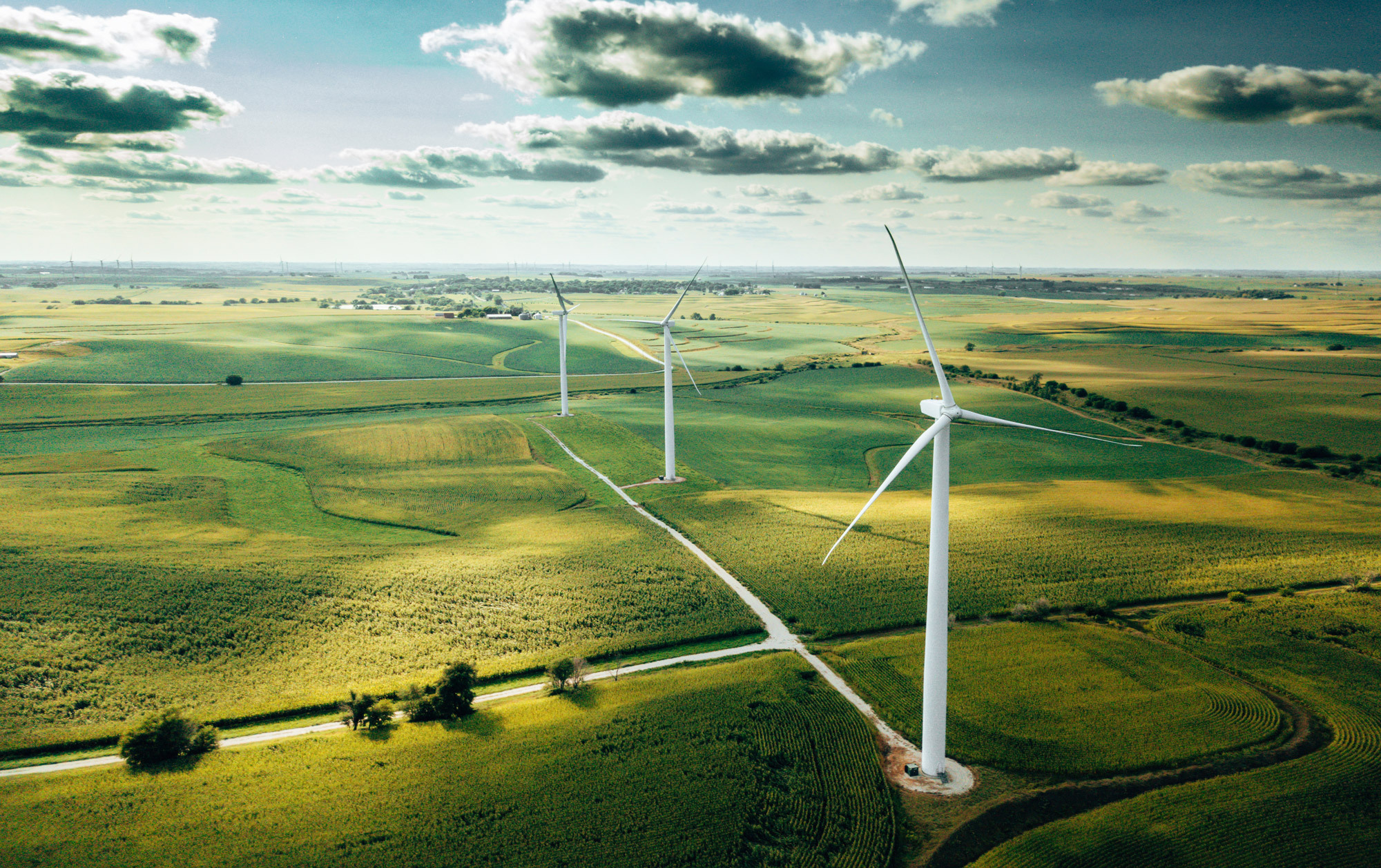 Wind turbines in a green field show an example of sustainability work in action
