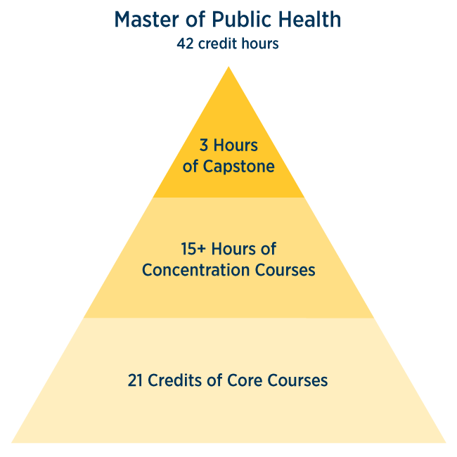 Master of Public health pyramid