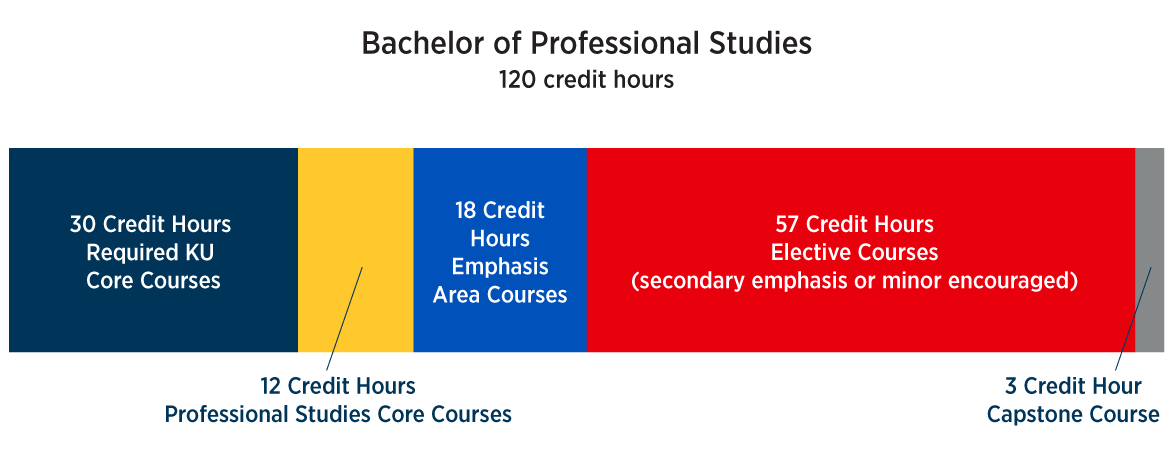 Bachelor of Professional Studies course breakdown