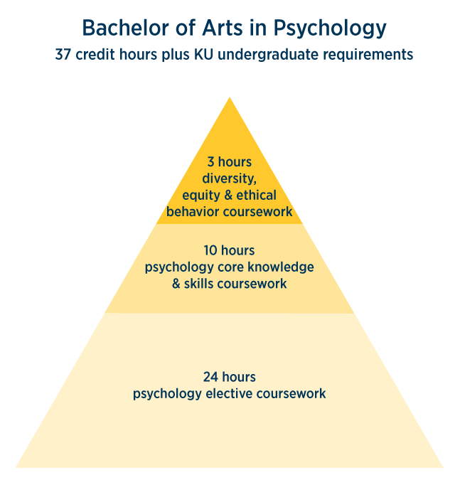 Bachelor of Arts in Psychology 37 credit hours plus KU undergraduate requirements - 9 hours of elective coursework, 3 hours of diversity, equity and ethical behavior coursework, 25 hours of psychology core knowledge and skills coursework