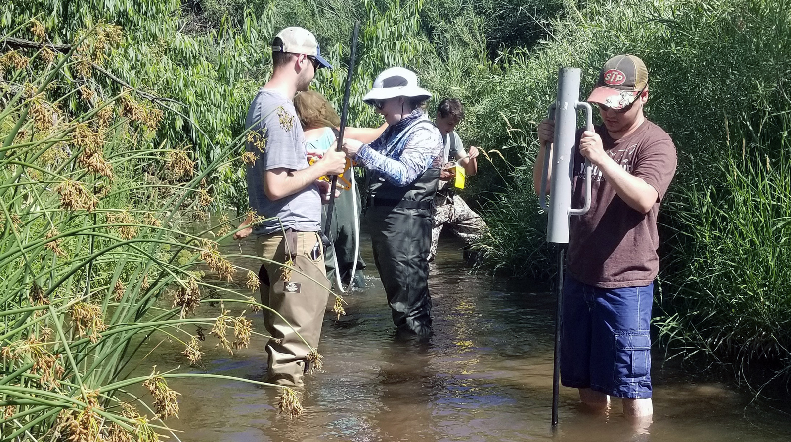 Students of the Field Methods of Hydrogeology course install stream-bed piezometers at the Robert P. Harrison Field Station. Piezometers allow hydrogeologists to measure how much water seeps through the bottom of the stream into the groundwater below it.