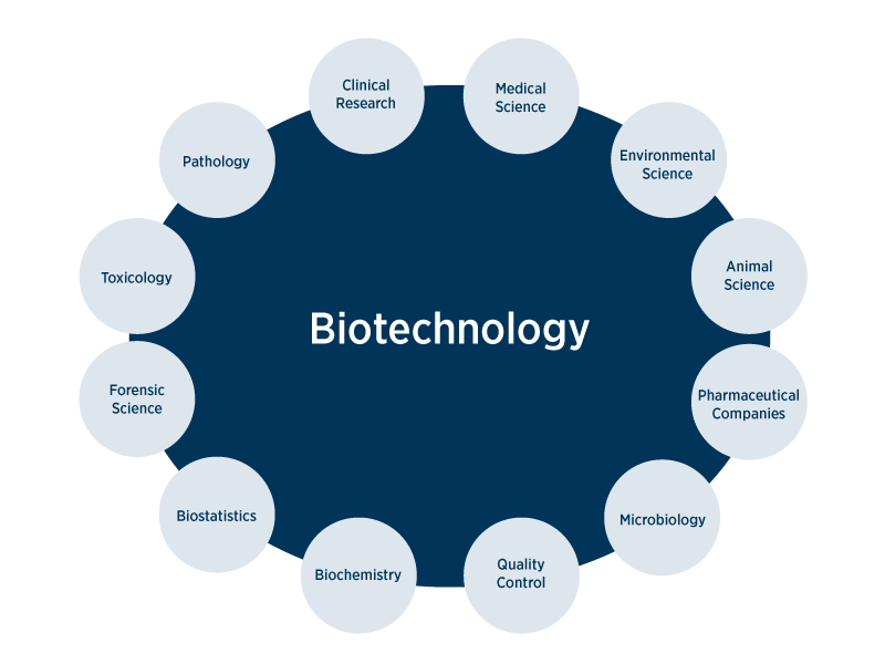 Biotechnology industries; clinical research, pathology, toxicology, forensic science, biostatistics, biochemistry, quality control, microbiology, pharmaceutical companies, animal science, environmental science, medical science 