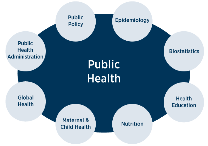 Graph of public health certificates and their potential uses