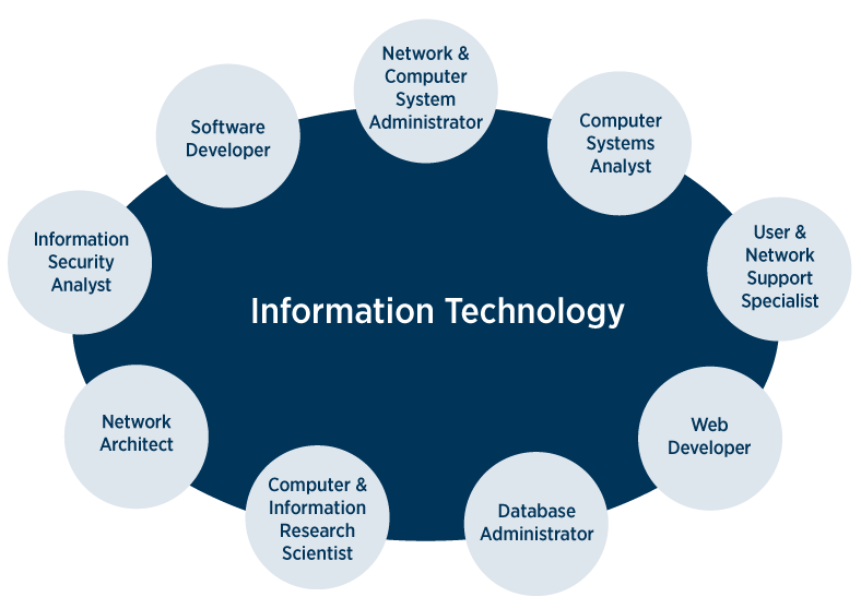 Information Technology career paths - Network and Computer System Administrator, Computer Systems Analyst, User and Network Support Specialist, Web Developer, Database Administrator, Computer and Information Research Scientist, Network Architect, Information Security Analyst, Software Developer