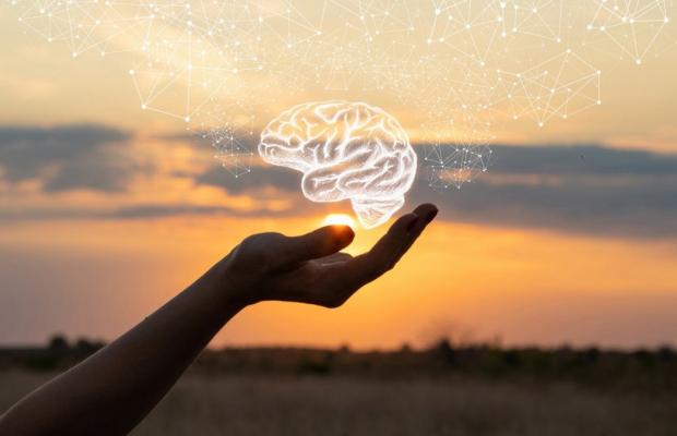 illustration of brain on image of hand and sunset