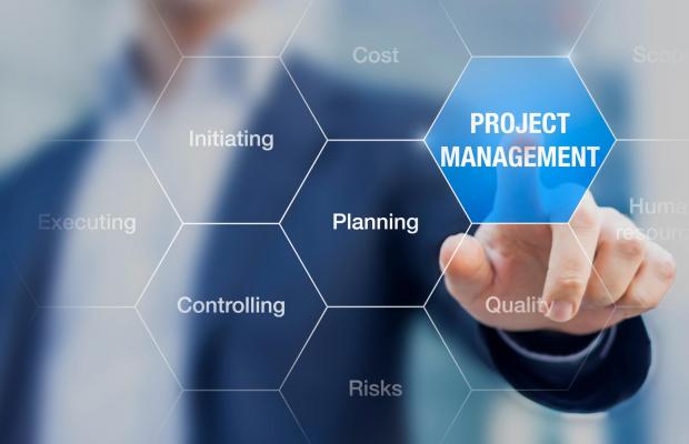 Graphic of project management components